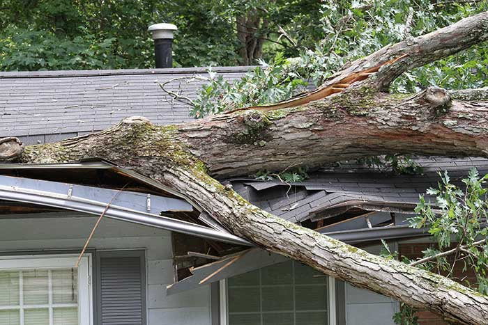 Roof Damage Repair